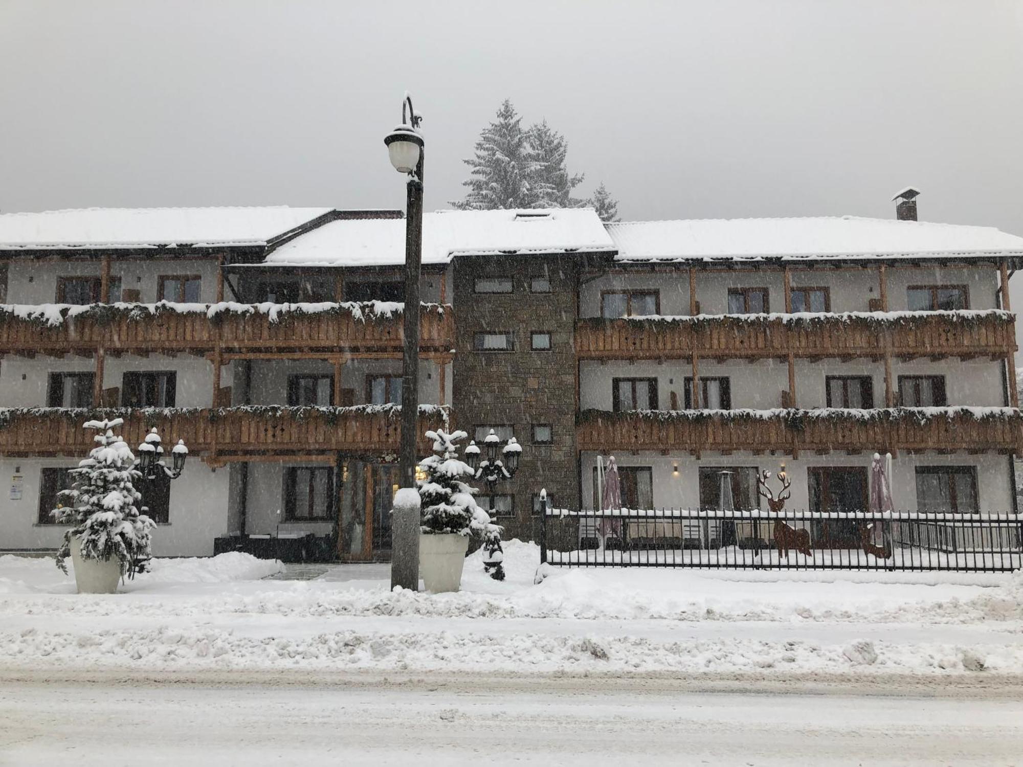 Olympic Regina Hotel Pinzolo Exteriör bild