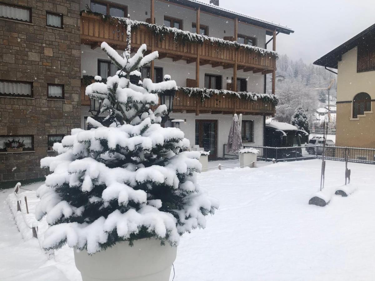 Olympic Regina Hotel Pinzolo Exteriör bild